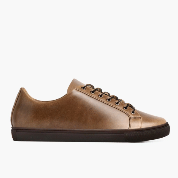 Golden Brown on Coffee 2 Legacy (Brown on Coffee)