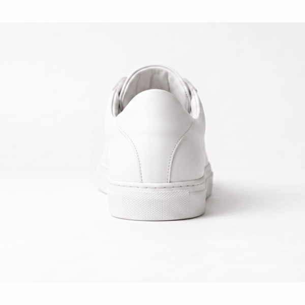 All White BV Legacy (White Express)