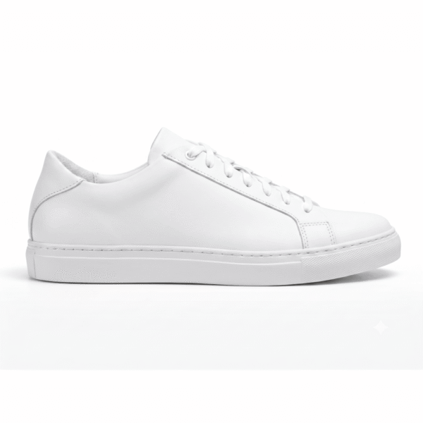 All White SV Legacy (White Express)