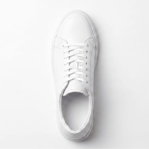 All White TV Legacy (White Express)